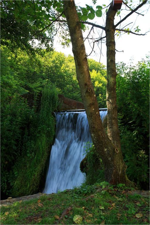 Отель Fruktarium Vendeghaz Trizs Экстерьер фото